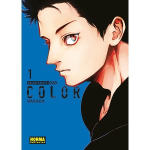 Color Recipe nº 01