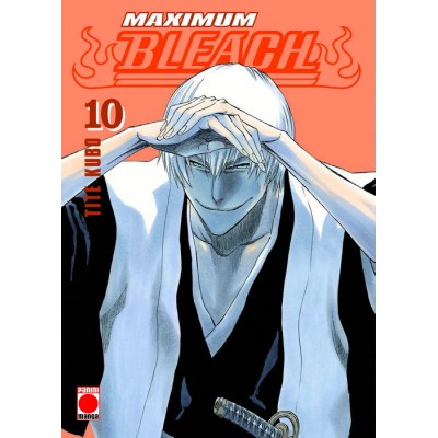 Bleach Maximum nº 10