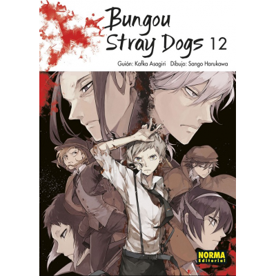 Bungou Stray Dogs nº 12