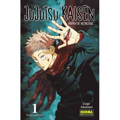 JUJUTSU KAISEN nº 01