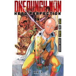 One Punch-man Hero Perfection