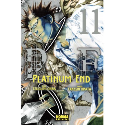 Platinum End nº 11