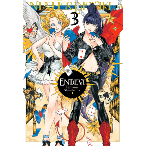 Endevi nº 03