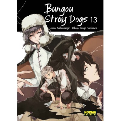 Bungou Stray Dogs nº 13