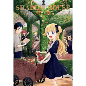 Shadow House nº 03