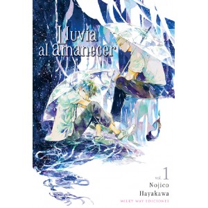 Lluvia al amanecer nº 01