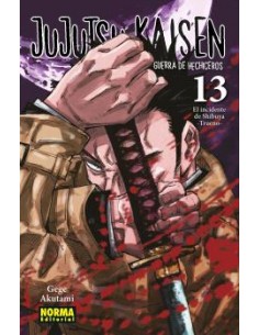 JUJUTSU KAISEN 13