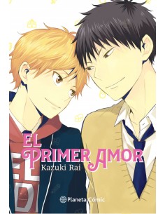 EL PRIMER AMOR