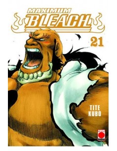 Bleach Maximum nº21