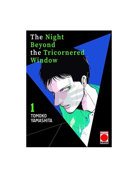 THE NIGHT BEYOND THE TRICORNERED WINDOW 01
