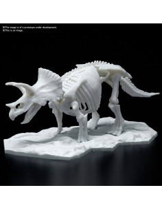 DINOSAUR MODEL KIT LIMEX SKELETON TRICERATOPS 2