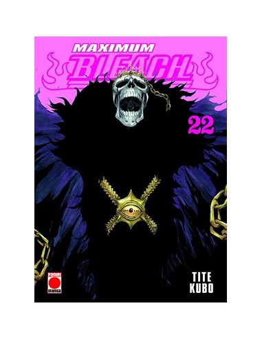 Bleach Maximum nº22