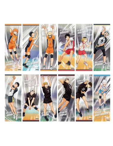 Haikyu!! To The Top Character Poster Collection 2