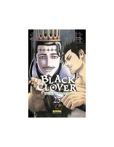 Black Clover nº 25
