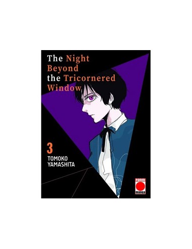 THE NIGHT BEYOND THE TRICORNERED WINDOW 03
