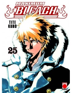 Bleach Maximum nº25