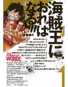 One Piece Magazine 11 2