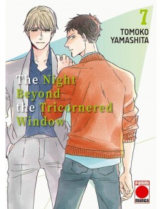 THE NIGHT BEYOND THE TRICORNERED WINDOW 07