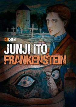 Frankenstein Book Cover