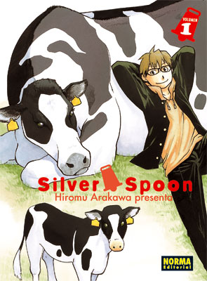 Silver Spoon Book Cover